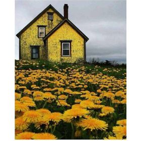 Canvas Hobby Çiçek Tarlasındaki Sarı Ev Kasnaklı 100 x 140 cm Sayılarla Boyama Seti