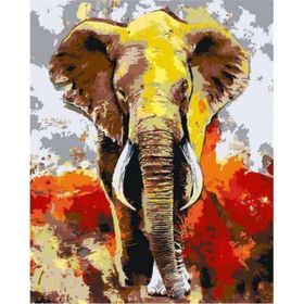 Canvas Hobby Derviş Fil Kasnaklı 40 x 50 cm Sayılarla Boyama Seti