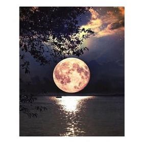 Canvas Hobby Dolunay 90 x 110 cm Kasnaklı Sayılarla Boyama Seti Duvar Sticker