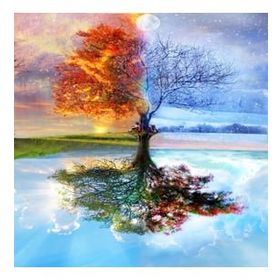Canvas Hobby Dolunay ve Ağaç 60 x 75 cm Kasnaklı Sayılarla Boyama Seti Duvar Sticker