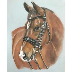 Canvas Hobby Düşlerdeki At Kasnaklı 100 x 140 cm Sayılarla Boyama Seti