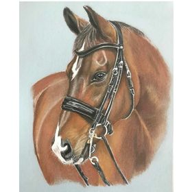 Canvas Hobby Düşlerdeki At Kasnaklı 100 x 140 cm Sayılarla Boyama Seti