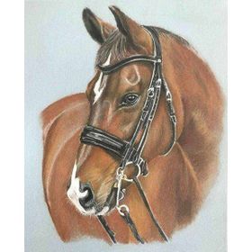 Canvas Hobby Düşlerdeki At Kasnaklı 100 x 140 cm Sayılarla Boyama Seti