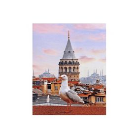 Canvas Hobby Galata Kulesi ve Martı 90 x 110 cm Kasnaklı Sayılarla Boyama Seti Duvar Sticker