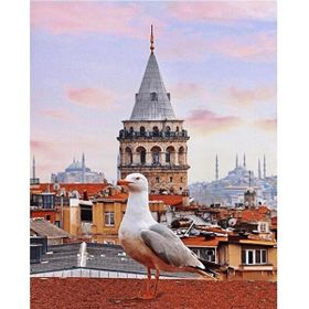 Canvas Hobby Galata Kulesi ve Martı Kasnaklı 100 x 140 cm Sayılarla Boyama Seti
