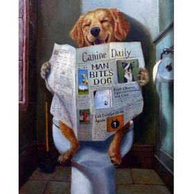 Canvas Hobby Gazete Okuyan Köpek Kasnaklı 40 x 50 cm Sayılarla Boyama Seti