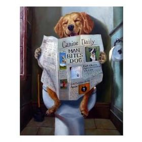Canvas Hobby Gazete Okuyan Köpek Kasnaklı 40 x 50 cm Sayılarla Boyama Seti