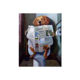 Canvas Hobby Gazete Okuyan Köpek Kasnaklı 40 x 50 cm Sayılarla Boyama Seti