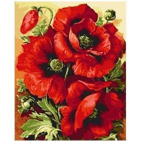 Canvas Hobby Gelincik Demeti 70 x 90 cm Kasnaklı Sayılarla Boyama Seti Duvar Sticker