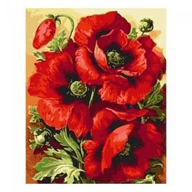 Canvas Hobby Gelincik Demeti 90 x 110 cm Kasnaklı Sayılarla Boyama Seti Duvar Sticker