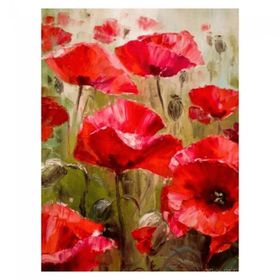 Canvas Hobby Gelincik Tarlası 40 x 50 cm Kasnaklı Sayılarla Boyama Seti Duvar Sticker