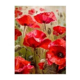 Canvas Hobby Gelincik Tarlası 40 x 50 cm Kasnaklı Sayılarla Boyama Seti Duvar Sticker
