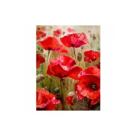 Canvas Hobby Gelincik Tarlası 60 x 75 cm Kasnaklı Sayılarla Boyama Seti Duvar Sticker