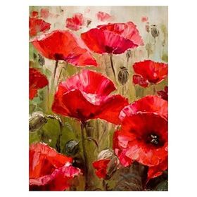 Canvas Hobby Gelincik Tarlası 70 x 90 cm Kasnaklı Sayılarla Boyama Seti Duvar Sticker
