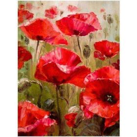 Canvas Hobby Gelincik Tarlası 90 x 110 cm Kasnaklı Sayılarla Boyama Seti Duvar Sticker