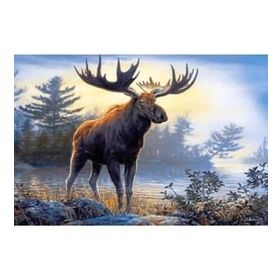 Canvas Hobby Geyik ve Orman 40 x 50 cm Kasnaklı Sayılarla Boyama Seti Duvar Sticker