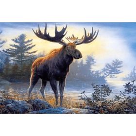 Canvas Hobby Geyik ve Orman Kasnaklı 100 x 140 cm Sayılarla Boyama Seti