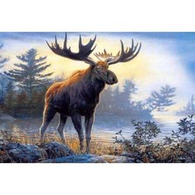 Canvas Hobby Geyik ve Orman Kasnaklı 100 x 140 cm Sayılarla Boyama Seti