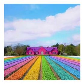 Canvas Hobby Gökkuşağı Bahçesi Kasnaklı 70 x 90 cm Sayılarla Boyama Seti