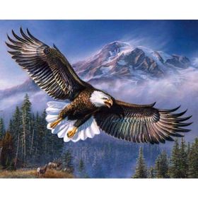 Canvas Hobby Gökteki Kartal Kasnaklı 100 x 140 cm Sayılarla Boyama Seti