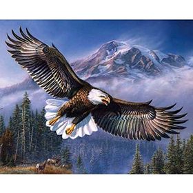 Canvas Hobby Gökteki Kartal Kasnaklı 60 x 75 cm Sayılarla Boyama Seti