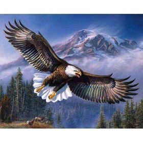 Canvas Hobby Gökteki Kartal Kasnaklı 60 x 75 cm Sayılarla Boyama Seti