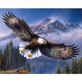 Canvas Hobby Gökteki Kartal Kasnaklı 70 x 90 cm Sayılarla Boyama Seti