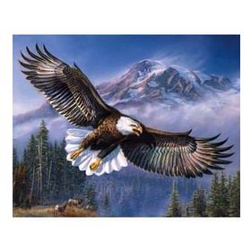 Canvas Hobby Gökteki Kartal Kasnaklı 90 x 110 cm Sayılarla Boyama Seti