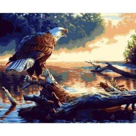 Canvas Hobby Göldeki Kartal Kasnaklı 40 x 50 cm Sayılarla Boyama Seti