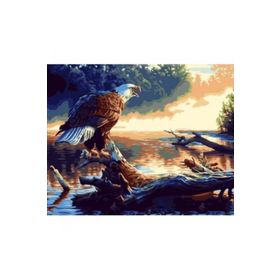 Canvas Hobby Göldeki Kartal Kasnaklı 50 x 65 cm Sayılarla Boyama Seti