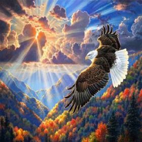 Canvas Hobby Göldeki Kartal Kasnaklı 90 x 110 cm Sayılarla Boyama Seti