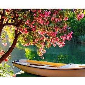Canvas Hobby Göldeki Sandal Kasnaklı 100 x 140 cm Sayılarla Boyama Seti
