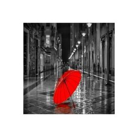 Canvas Hobby Gri Sokaklar ve Kırmızı Şemsiye Kasnaklı 90x110 cm Sayılarla Boyama Seti