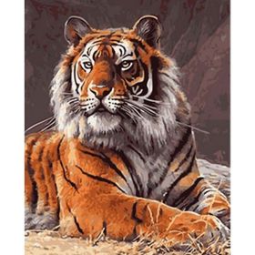 Canvas Hobby Güçlü Kaplan 100x140 cm Rulo Sayılarla Boyama Seti