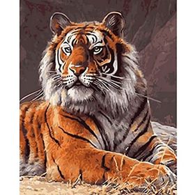 Canvas Hobby Güçlü Kaplan Kasnaklı 40x50 cm Sayılarla Boyama Seti