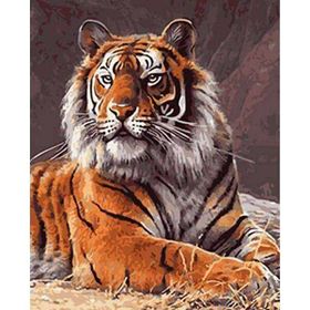 Canvas Hobby Güçlü Kaplan Kasnaklı 40x50 cm Sayılarla Boyama Seti