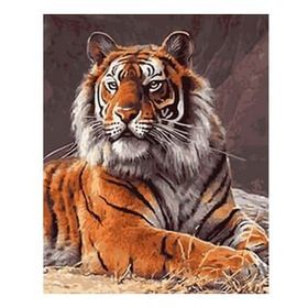 Canvas Hobby Güçlü Kaplan Kasnaklı 40x50 cm Sayılarla Boyama Seti