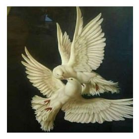 Canvas Hobby Güvercinlerin Aşkı Kasnaklı 70 x 90 cm Sayılarla Boyama Seti