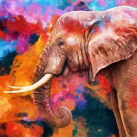 Canvas Hobby Güzel Fil Kasnaklı 100 x 140 cm Sayılarla Boyama Seti