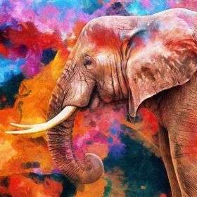 Canvas Hobby Güzel Fil Kasnaklı 100 x 140 cm Sayılarla Boyama Seti