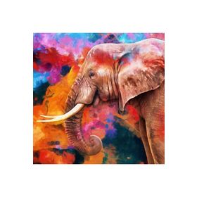 Canvas Hobby Güzel Fil Kasnaklı 50 x 65 cm Sayılarla Boyama Seti