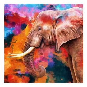 Canvas Hobby Güzel Fil Kasnaklı 70 x 90 cm Sayılarla Boyama Seti