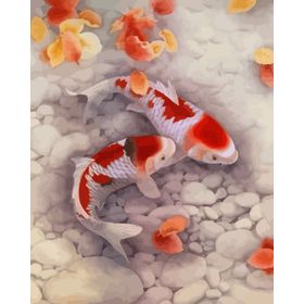Canvas Hobby Japon Balıkları 100x140 cm Rulo Sayılarla Boyama Seti