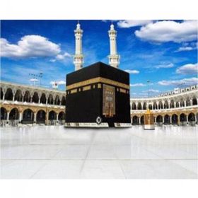 Canvas Hobby Kabe 100x140 cm Rulo Sayılarla Boyama Seti