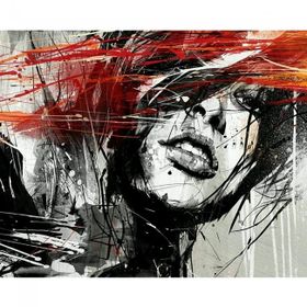 Canvas Hobby Kadının Çizgileri 70 x 90 cm Rulo Sayılarla Boyama Seti