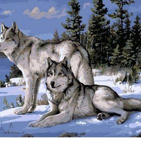 Canvas Hobby Kasnaklı 100 x 140 cm Kurt Bakışı Sayılarla Boyama Seti