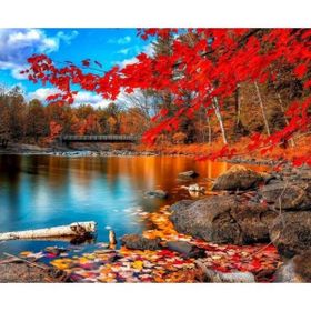 Canvas Hobby Kasnaklı 100 x 140 cm Sonbaharın Güzelliği Boyama Seti