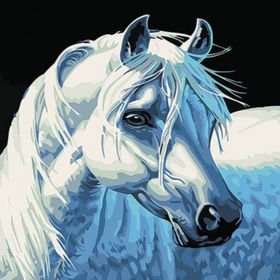 Canvas Hobby Kasnaklı 100 x 140 cm Yıldız At Sayılarla Boyama Seti