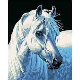 Canvas Hobby Kasnaklı 100 x 140 cm Yıldız At Sayılarla Boyama Seti