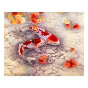 Canvas Hobby Kasnaklı 50 x 65 cm Japon Balıkları Sayılarla Boyama Seti